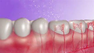 Medical Animation Showreel