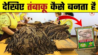 देखिए खैनी ( तंबाकू ) कैसे बनता है | तंबाकू की फैक्ट्री | How Tobacco is Made | Wanted TV