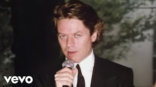 Robert Palmer - I Didn't Mean To Turn You On