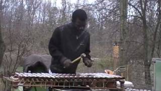 Abou Sylla Balafon Solo