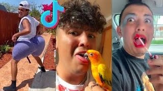 FUNNY WillyTube Tik Tok 2021  TRY NOT TO LAUGH  New Clean TikTok