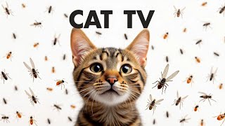 CAT GAMES | Keep Your Cat Entertained All Day Episode 7 | 3 HOURS 🐝🦎🐭