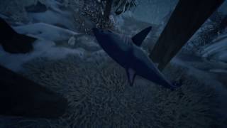 sharkfall