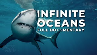 INFINITE OCEANS | A Journey Through the World's Oceans - Full Documentary