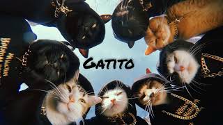 MNS-Gatito (Official Visualizer)Inspired by Space Motion 