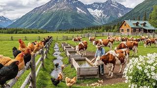 Poultry Farming - Harvesting Eggs in Fields and Farms – Relaxing Farm