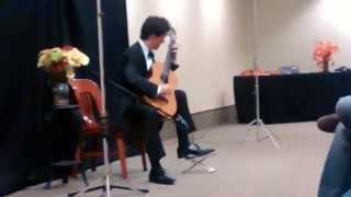 Peter Fletcher performing at Hedberg Public Library