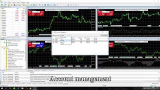 TradeToolsFX multi account trader / terminal for metatrader 5