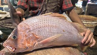 Red Snapper Fish Cutting Full Process 🔪 | Traditional Filleting & Cleaning Techniques