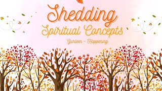 To remember WHAT-IS (who you are), you have to drop even spirituality movement..