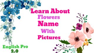 Learn About Different Flowers Name | Flowers Name | Learning Video For Kids |English Pro 2.0