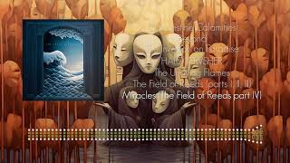 Obsidian Tide - Miracles (The Field of Reeds part IV)