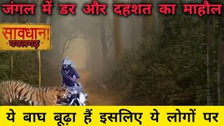 Bike वालो पर किया हमला? ये बाघ बूढ़ा हैं  इसलिए लोगों पर | Jungle में डर और दहशत का माहौल