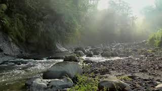 New Beginnings Meditation Part 3 - 1 Hour meditation for Study, Focus and Sleep