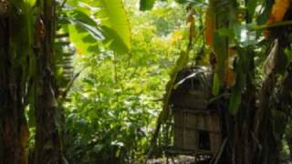 BUNGLE IN THE JUNGLE