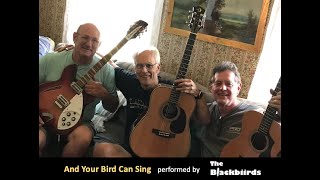 And Your Bird Can Sing