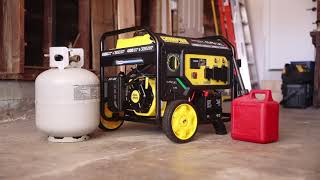 Champion 3650-Watt Electric Start Dual Fuel RV Ready Portable Generator with CO Shield (Mod. 201504)