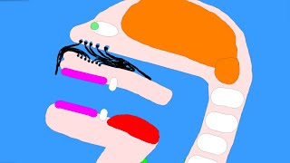 Algodoo | Pluck Nose Hairs