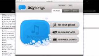 iTunes Cleanup