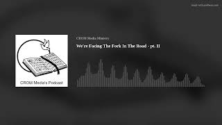 We're Facing The Fork In The Road - pt. II