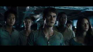 This Is War | Maze Runner