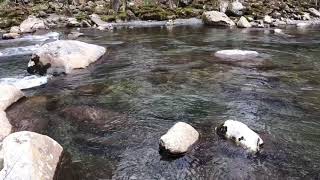 Greenbrier Park River, Gatlinburg TN