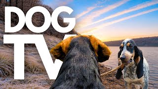 TheDogCam | 10hrs of Soothing Lakeside Virtual Dog Walks Along Wintery Footpaths 🐾🌊 GoPro DogTV