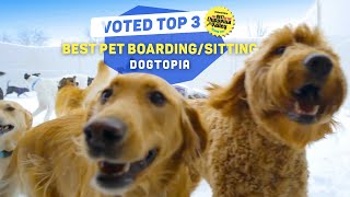 Meet the Best: Dogtopia