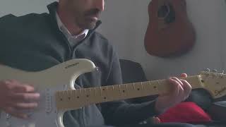 dead kennedys - police truck guitar