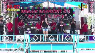 ns multimedia Live Stream