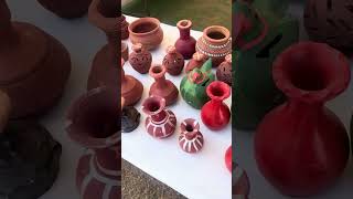 Swadesi Mahotsav Panchkula #viralvideo #trending 