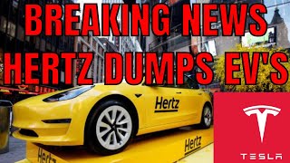 BREAKING NEWS TESLA SHARES FALL AS HERTZ DUMPS 20K EV CARS FROM IT' S USA FLEET