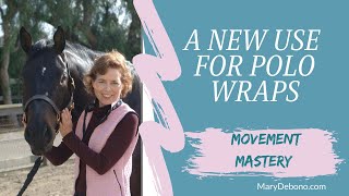 A New Use For Your Horse's Polo Wraps