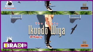 JD KAJERY - Ikuodo Wiya(Official Audio Visualizer)