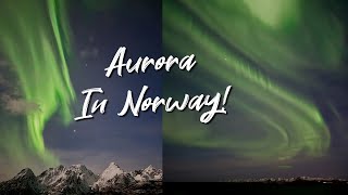 Amazing Aurora In Norway! - Norwegian Coast Cruise