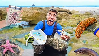 FINDING EXOTIC CREATURES OUT OF TIDE POOLS