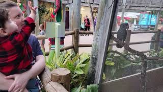 James Makes a Friend at the Zoo 🐦