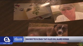 Man indicted on animal cruelty charge in crash that injured woman, killed dog