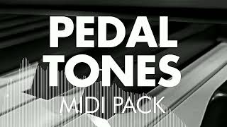 Pedal Tones MIDI Pack by Capriccio!
