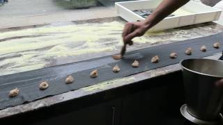 Ravioli Making