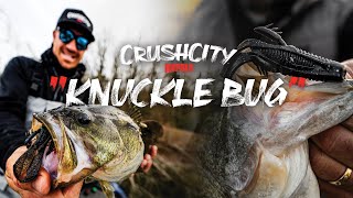 Rapala® | NEW CrushCity™ Knuckle Bug