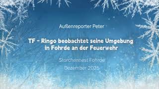 TF-Ringo beobachtet seine Umgebung in Fohrde an der Feuerwehr - Außenreporter Peter