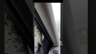 Snake On Car Window While Driving