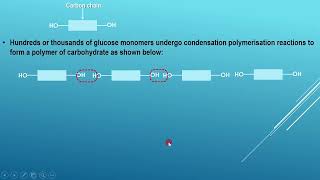 Organic chemistry - Natural Macromolecules