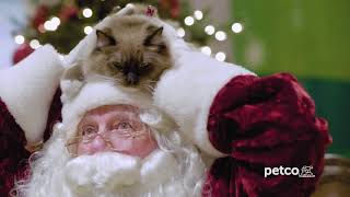 Petco - 3