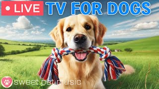 🔴24 Hours of Dog TV🎵🐶Calming Music for Dog Sleep🐾🩷Deep Relaxation Music for Dog Anxiety and Stress