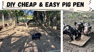 How to Build a Pig Pen | Beginners Guide to  Pig Pens | Homesteading
