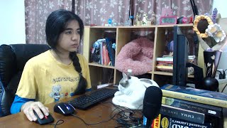 Study With Me Live 3 hours 50/10 🐈