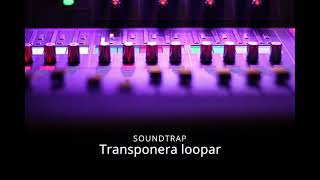 Transponera loopar i Soundtrap