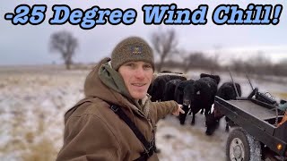 6 Degrees With Negative 25 Wind Chill! Taking Care Of The Cows!